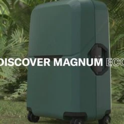 New Rebels shop -New Rebels shop 550x309 8