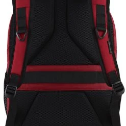 Kopen ???? Victorinox Vx Sport Evo Daypack Scarlet Sage/Red ???? -New Rebels shop 550x691 3