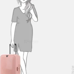 Aanbiedingen ✔️ Decent ???? Handbagage Koffer Axiss-Fix 55 - Roze ⭐ -New Rebels shop 550x738